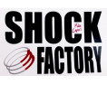 AMORTISSEURS KAWASAKI W650/800 SHOCK FACTORY