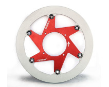 PAIRE DE DISQUES BERINGER AERONAL FONTE VOXAN ROADSTER CAFERACER A PARTIR DE 1999