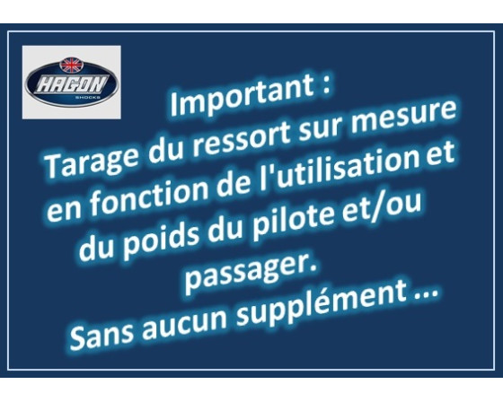 BI-AMORTISEURS HAGON ROAD POUR KAWASAKI W 650 OU W 800